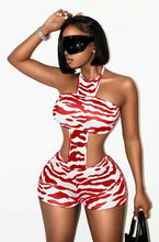 Load image into Gallery viewer, Zebra
